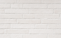 🧱 | Nebelweiss Klinkerfassadenplatte 290 X 52 X 10 Mm (kopie) (kopie) | Lexa Keramik