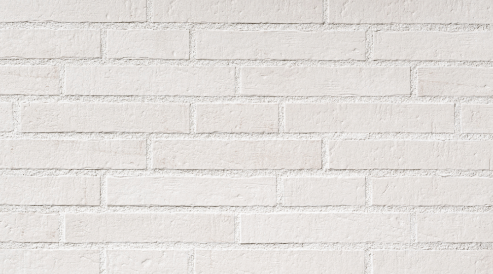 🧱 | Nebelweiss Klinkerfassadenplatte 290 X 52 X 10 Mm (kopie) (kopie) | Lexa Keramik