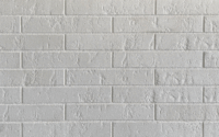 🧱 | Klinkera Fasādes Flīze Weiss N 290 X 52 X 10 Mm | Lexa Keramik