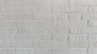 🧱 | Klinkera Fasādes Flīze Weiss N 290 X 52 X 10 Mm | Lexa Keramik