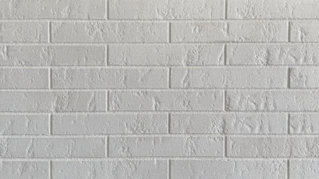 Klinkerio fasado plytelė WEISS N 290 x 52 x 10 mm